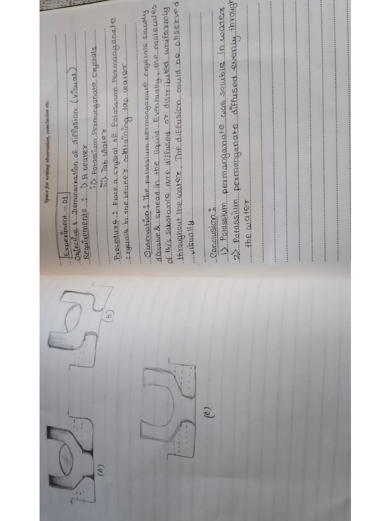 Experiment 1 | PDF