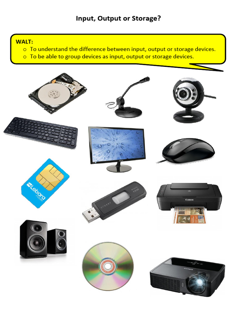 Input, Output, and Storage Devices Explained | PDF