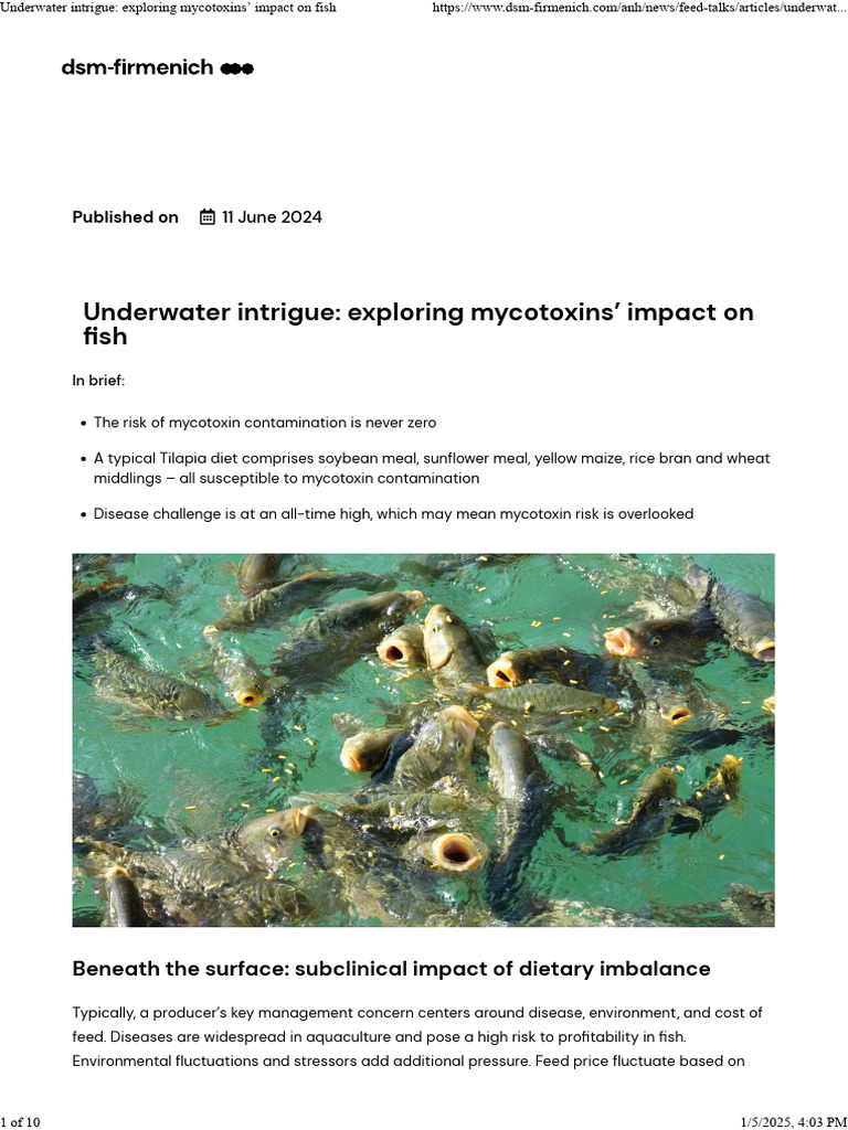 Mycotoxins in Fish Feed: Risks & Effects | PDF | Medical Specialties ...