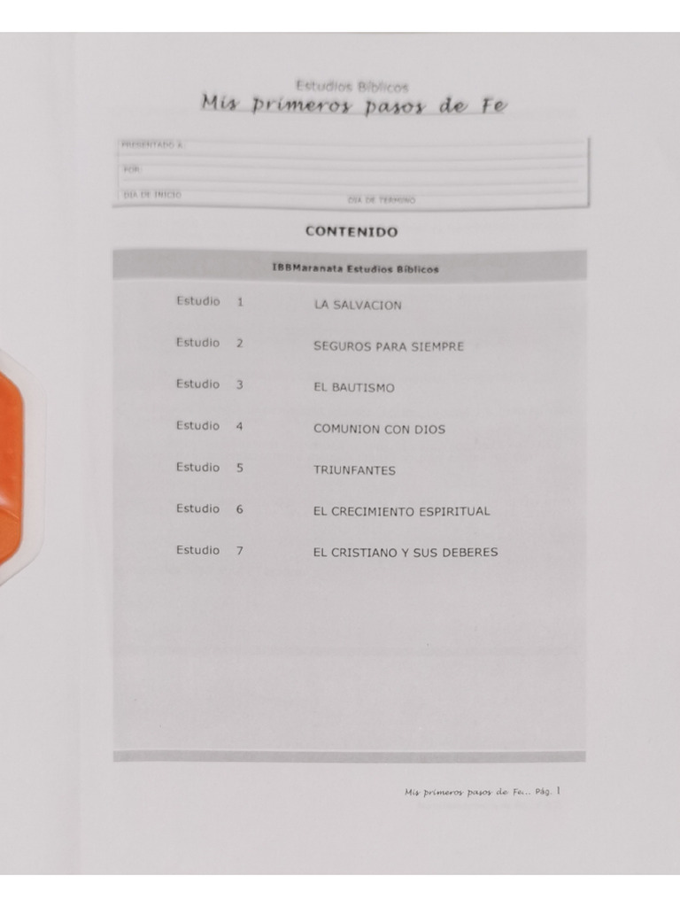 Mis Primeros Pasos | PDF