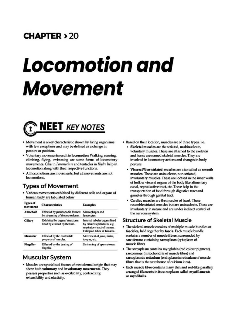Locomotion and Movement Vol 1 | PDF