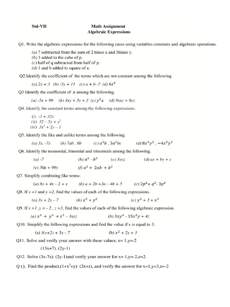 Class 7 CBSE Algebric Equation Exam Sheet01 | PDF