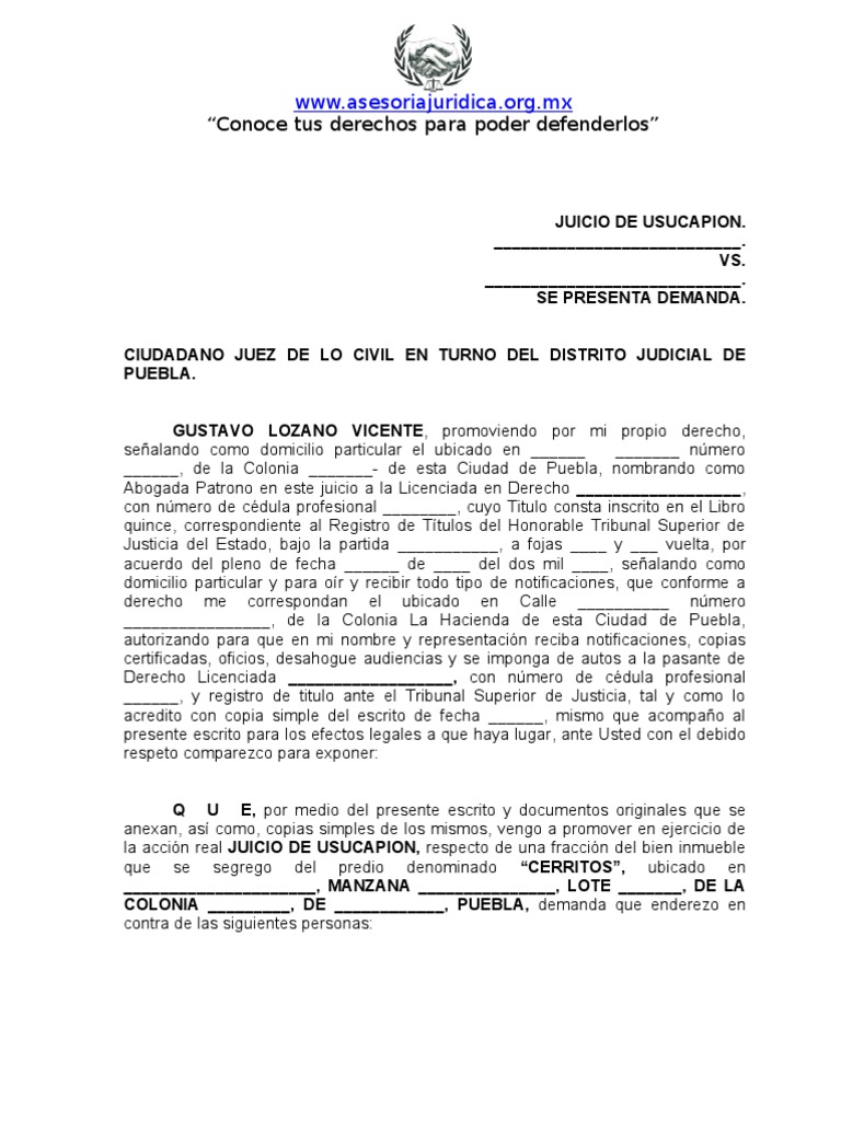 Formato Juicio de Usucapion | PDF | Posesión (Ley) | Propiedad