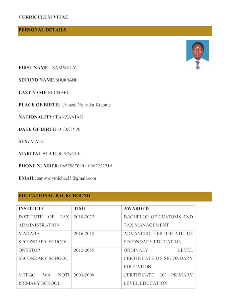 Personal Skills and Work Experience Summary | PDF | Public Finance ...