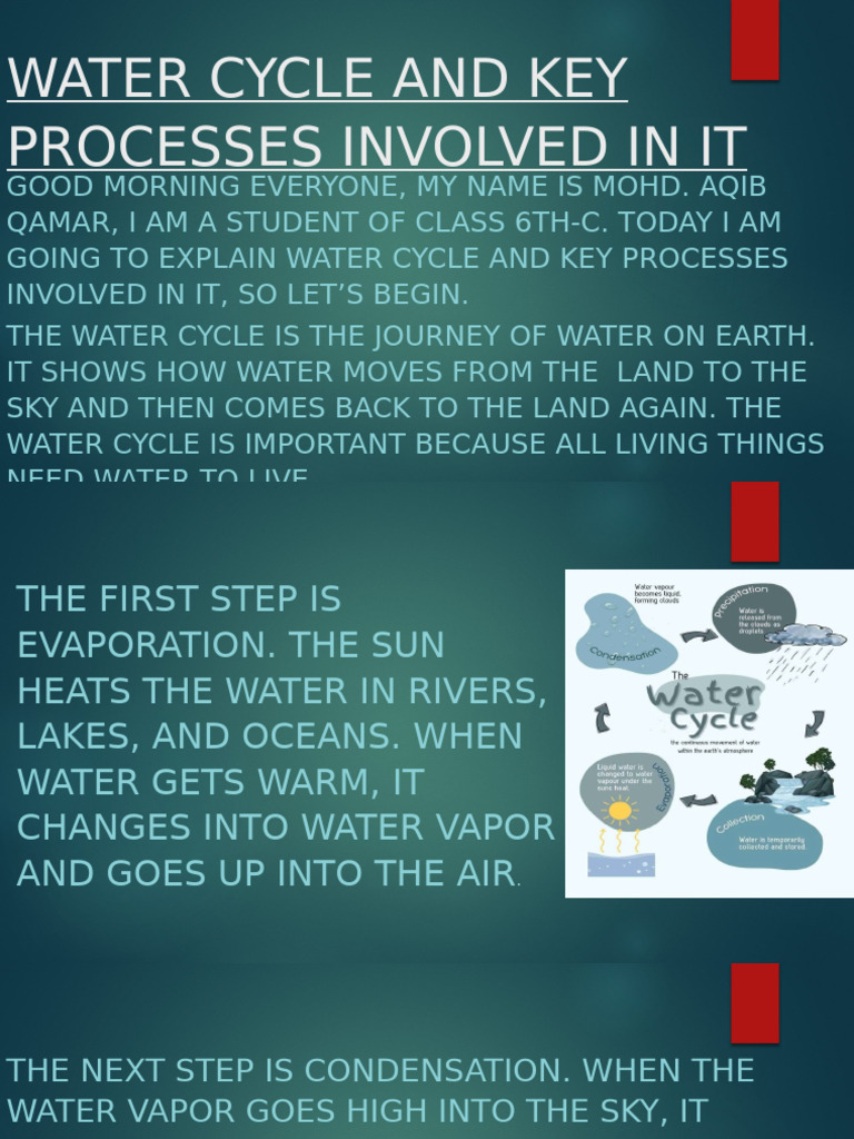 Understanding the Water Cycle Basics | PDF