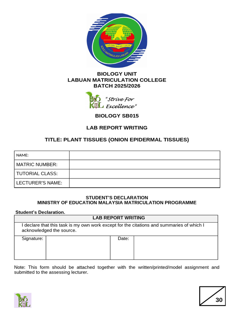 Onion Epidermal Tissue Lab Report | PDF | Tissue (Biology) | Cell (Biology)