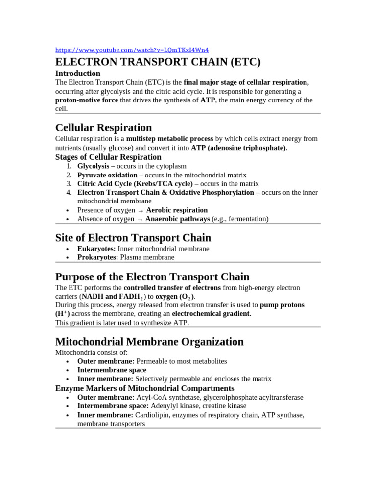 Understanding the Electron Transport Chain | PDF | Electron Transport ...