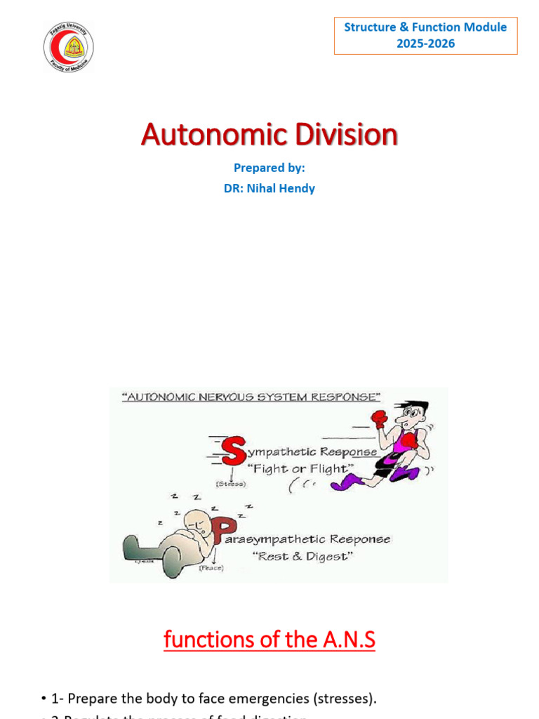 Functions of the Autonomic Nervous System | PDF | Vasodilation | Muscle