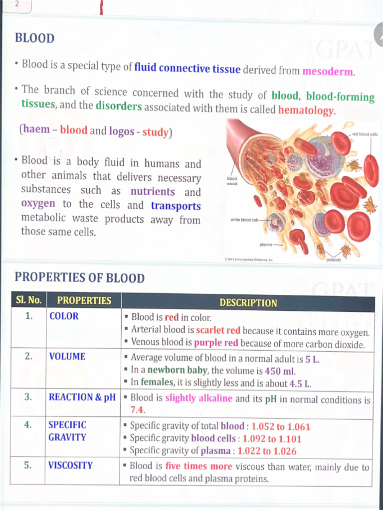 Blood | PDF