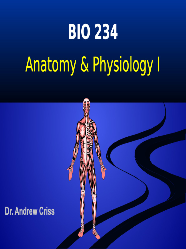 LECTURE 1 - PPT Notes - 2024 FA (1) Anatomy and Physiology I BIO 234 H ...