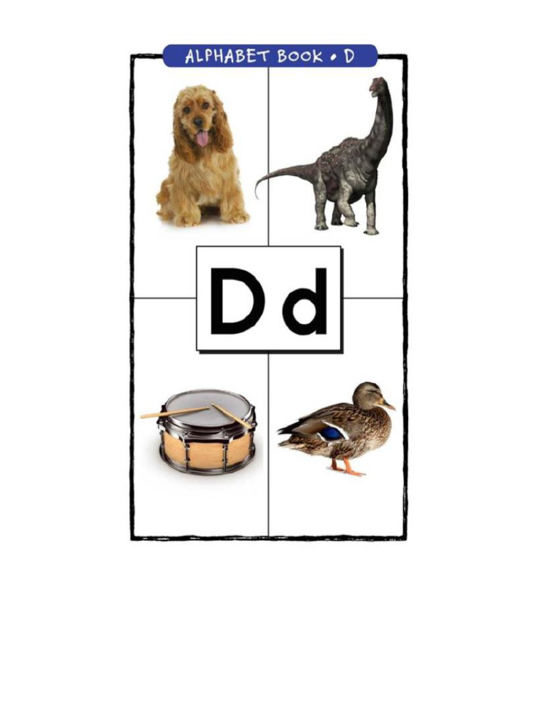 Letter D | PDF
