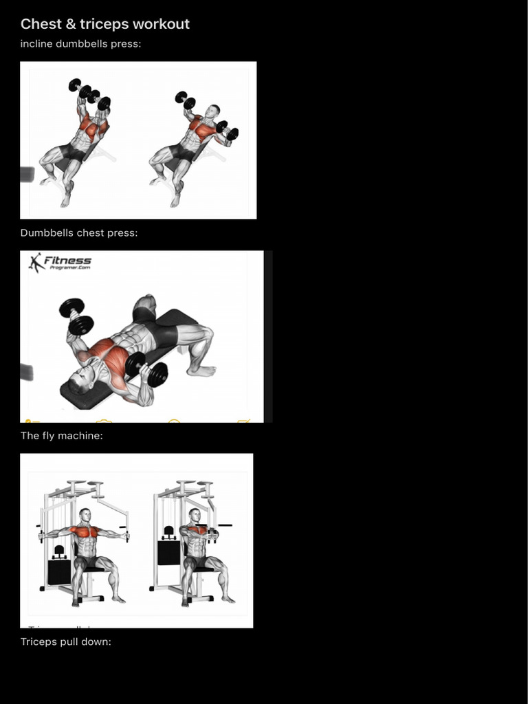 Chest & Triceps Workout | PDF