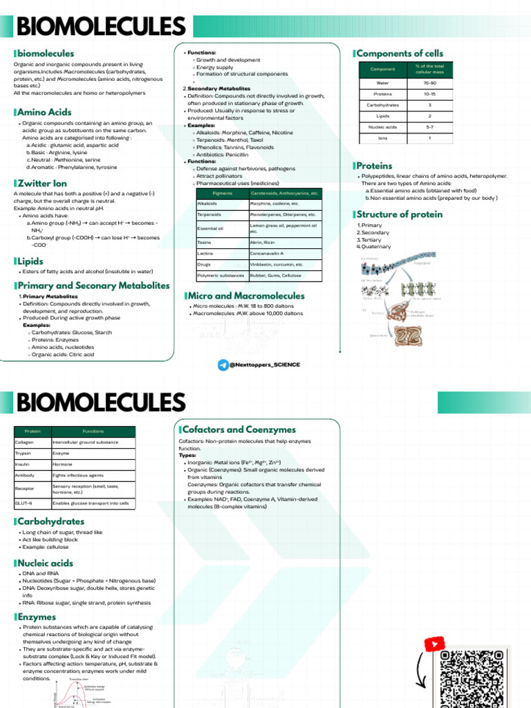 Overview of Biomolecules and Amino Acids | PDF | Amino Acid | Metabolism