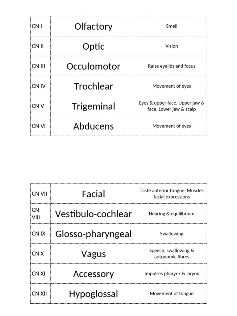 Cranial Nerve Functions Overview | PDF