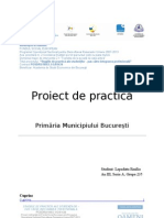 Proiect Practica PMB