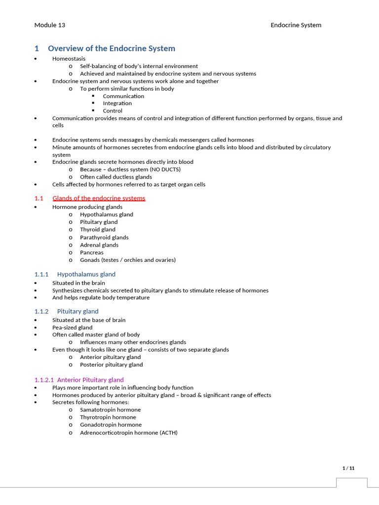 Endocrine System Overview and Glands | PDF | Endocrine System | Adrenal ...