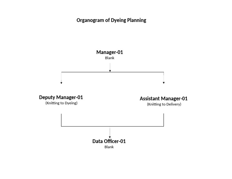 Dyeing Planning Organogram Structure | PDF
