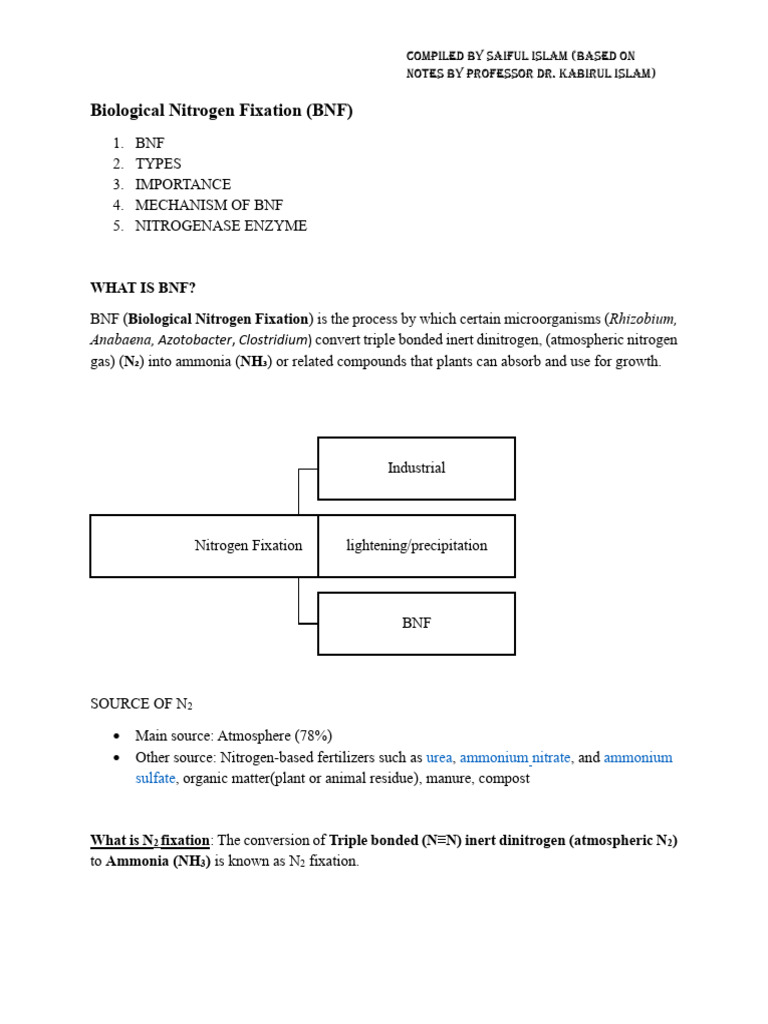 Understanding Biological Nitrogen Fixation | PDF | Nitrogen | Soil