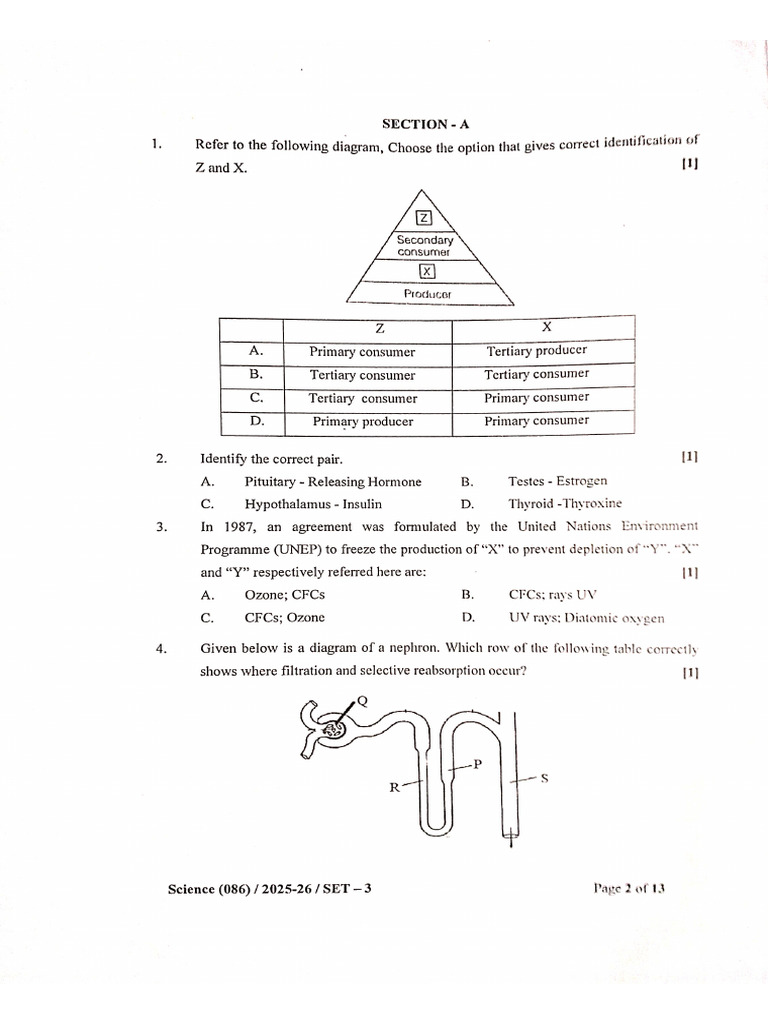 DocScanner Questions | PDF