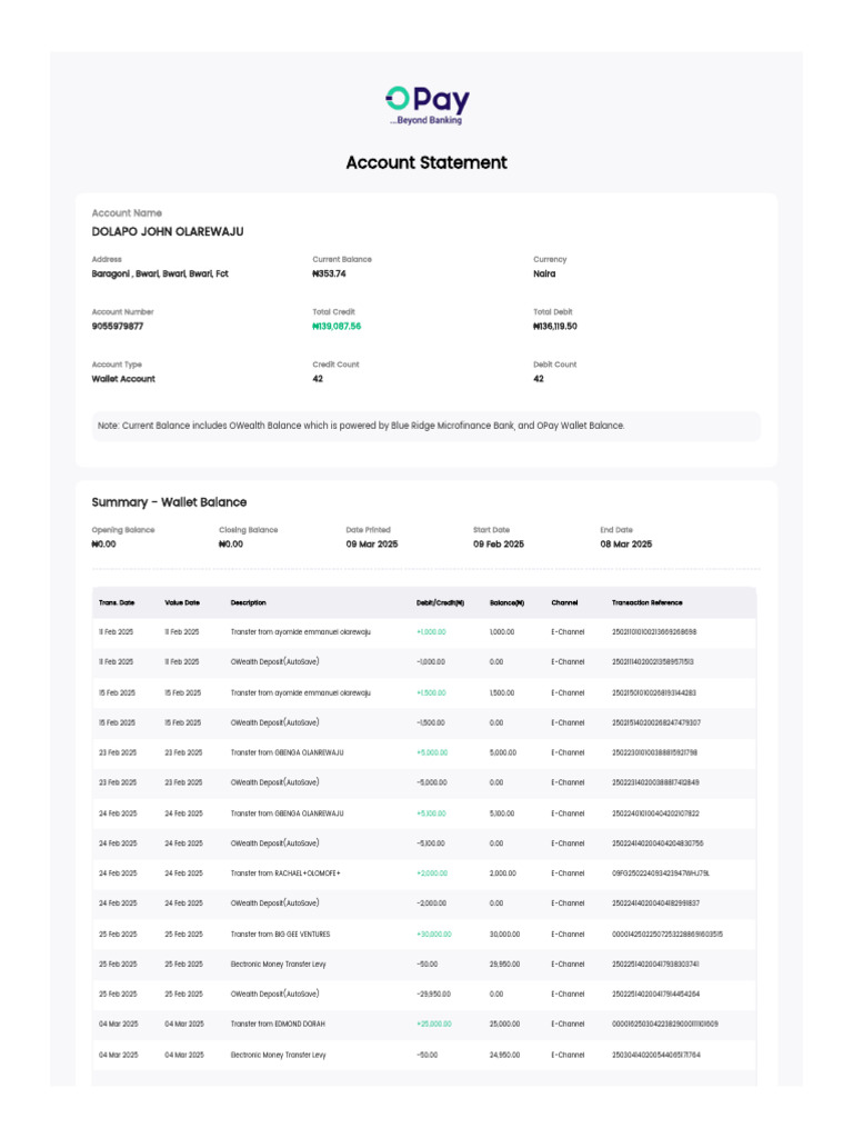 Wallet Account Statement Summary | PDF | Debits And Credits | Banking