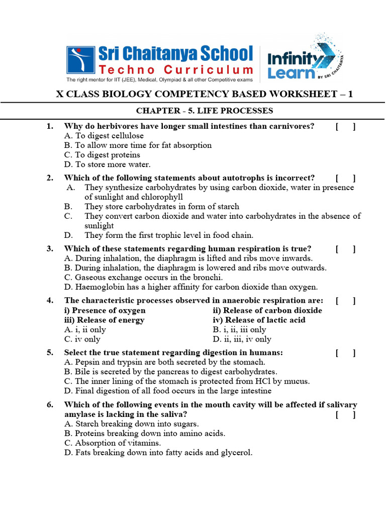 X Class Biology Life Processes Worksheet | PDF | Digestion | Atrium (Heart)