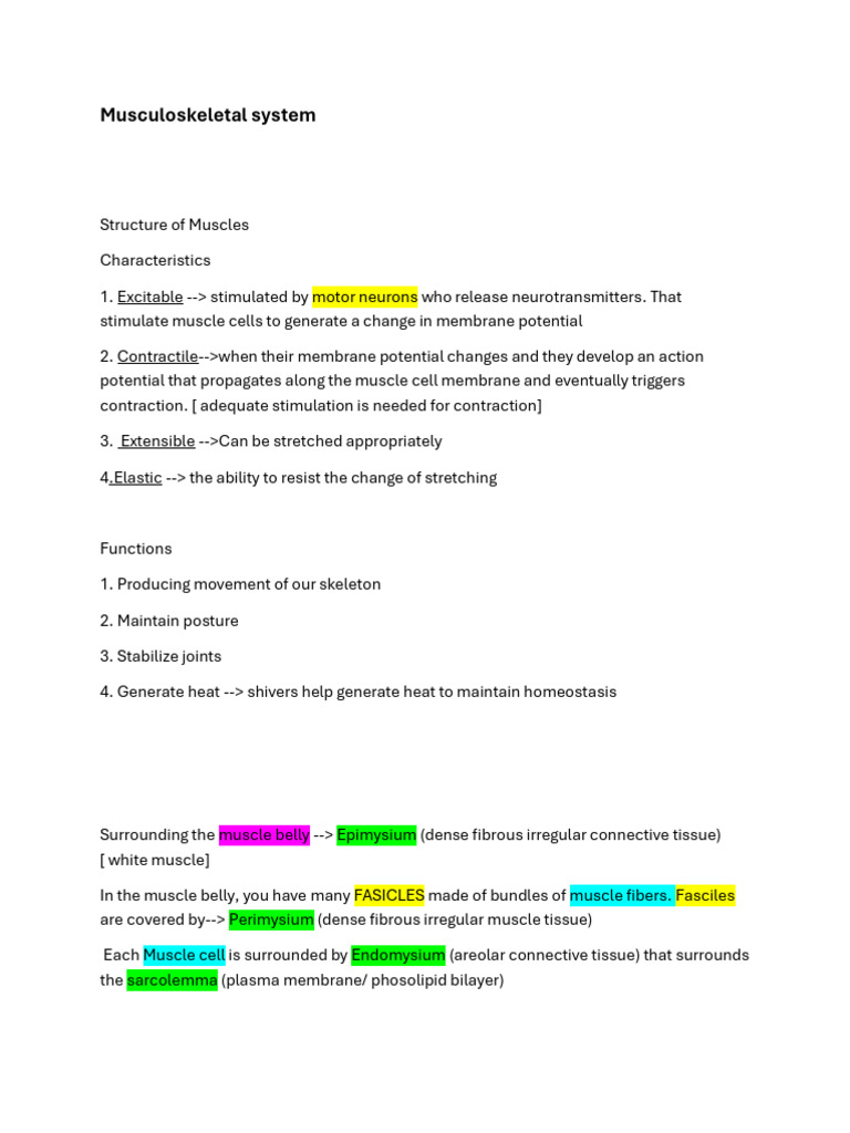 Musculoskeletal System Overview | PDF | Actin | Muscle Contraction