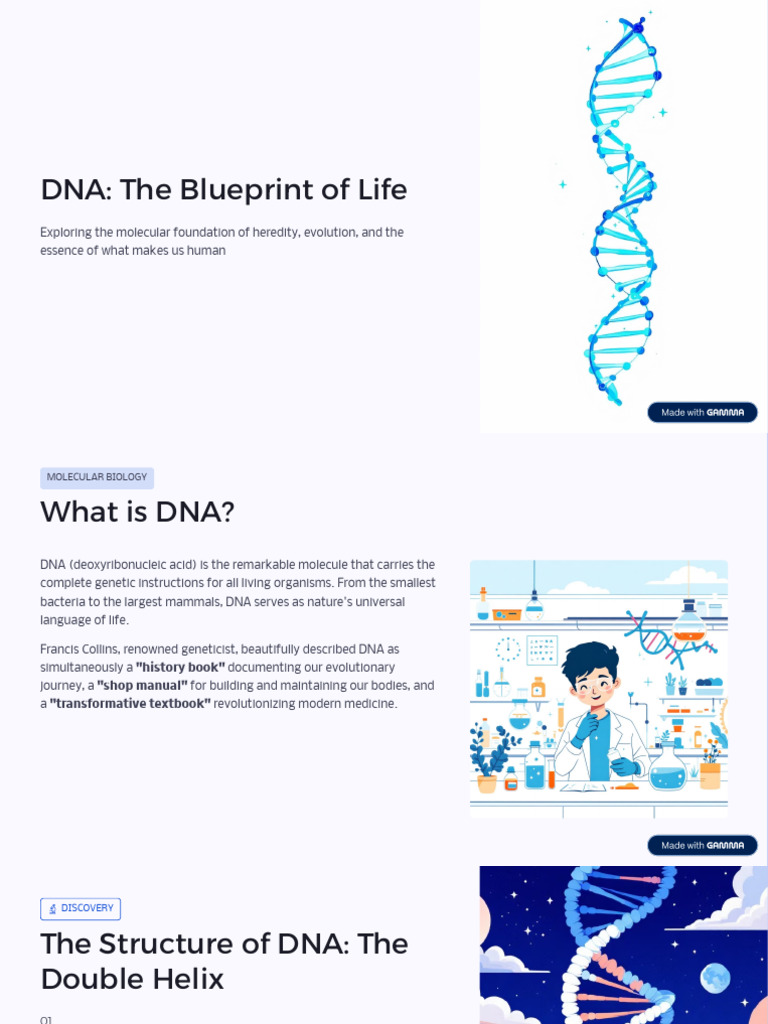 Understanding DNA: The Blueprint of Life | PDF | Dna | Gene