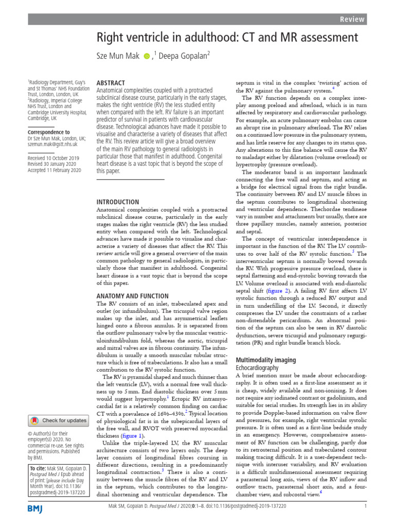 Right Ventricle Assessment in Adults | PDF | Heart | Ventricle (Heart)