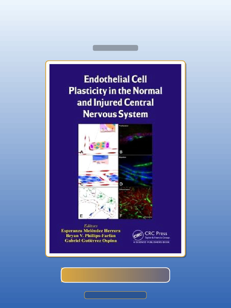 Endothelial Cell Plasticity in the Normal and Injured Central Nervous ...
