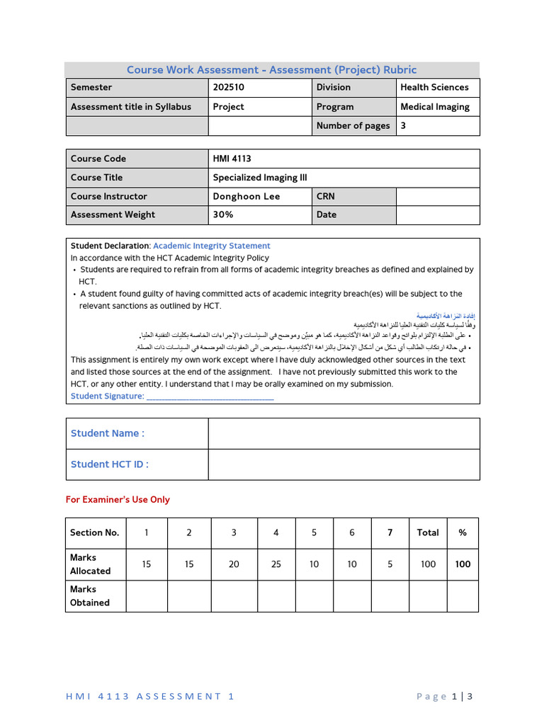 HS202510HMI4113 Project Rubric | PDF
