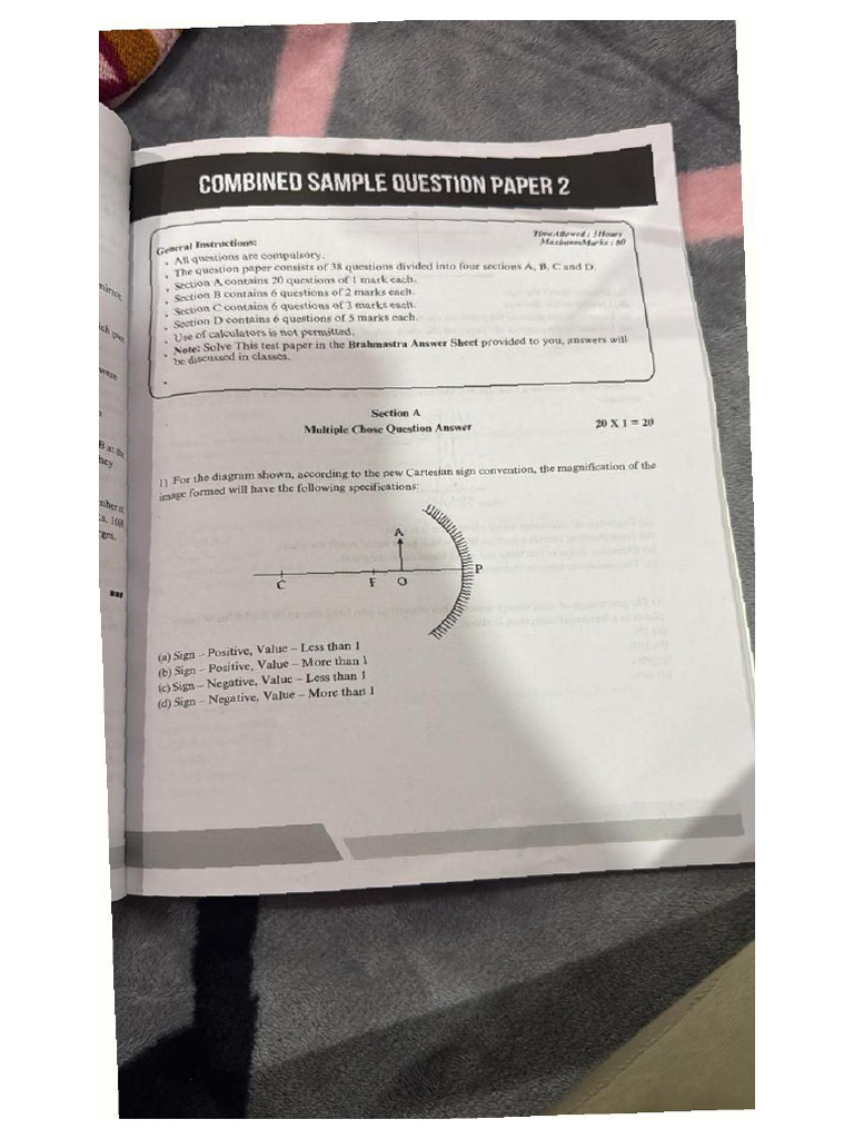 Combined Sample Question Paper 2 | PDF | Biology