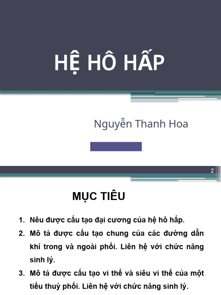 Hệ hô hấp | PDF