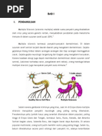 Refarat Multipel Sklerosis