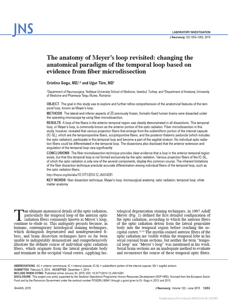 Anatomy of Meyer’s Loop Revisited | PDF | Cerebrum