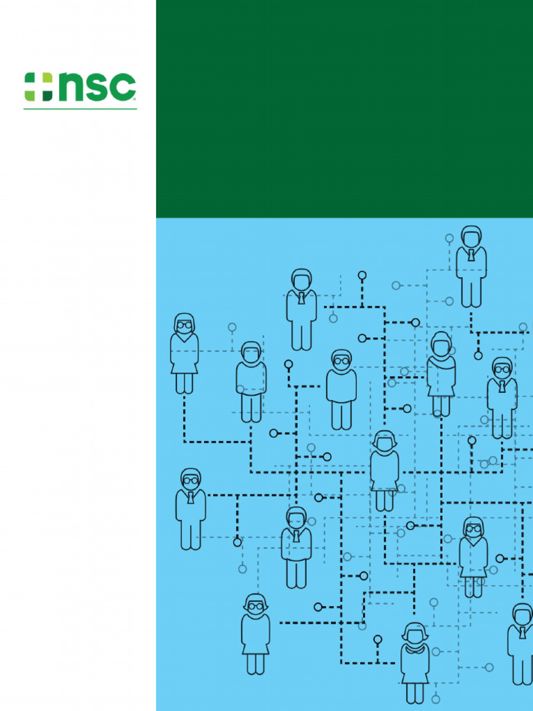 NSC Campbell Considerations for Designing an Optimal EHS Org Structure ...