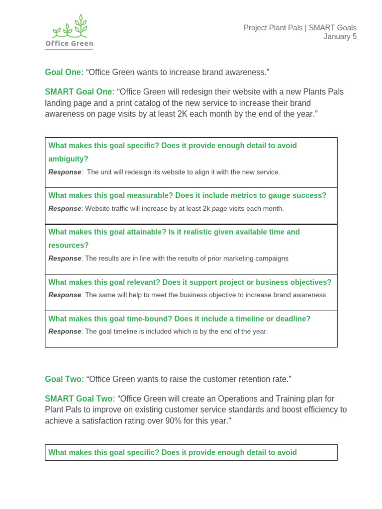 CV Activity Template SMART Goals | PDF