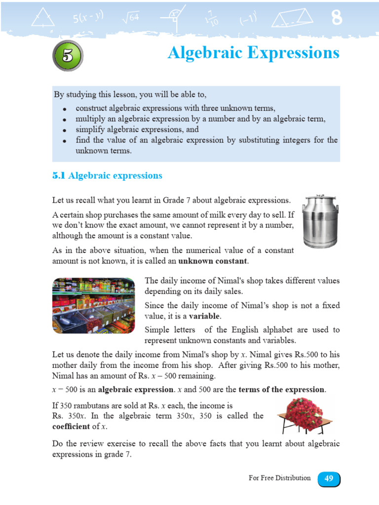 Algebraic Expressions and Operations | PDF | Variable (Mathematics ...