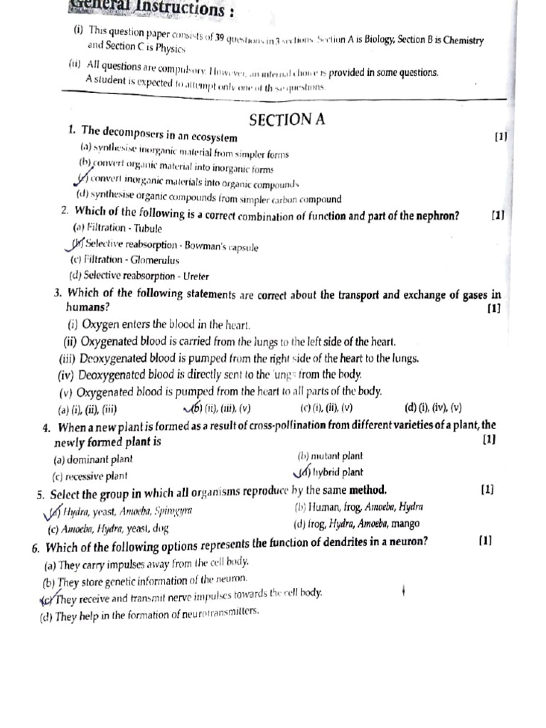 Class - 10th Sample Paper | PDF