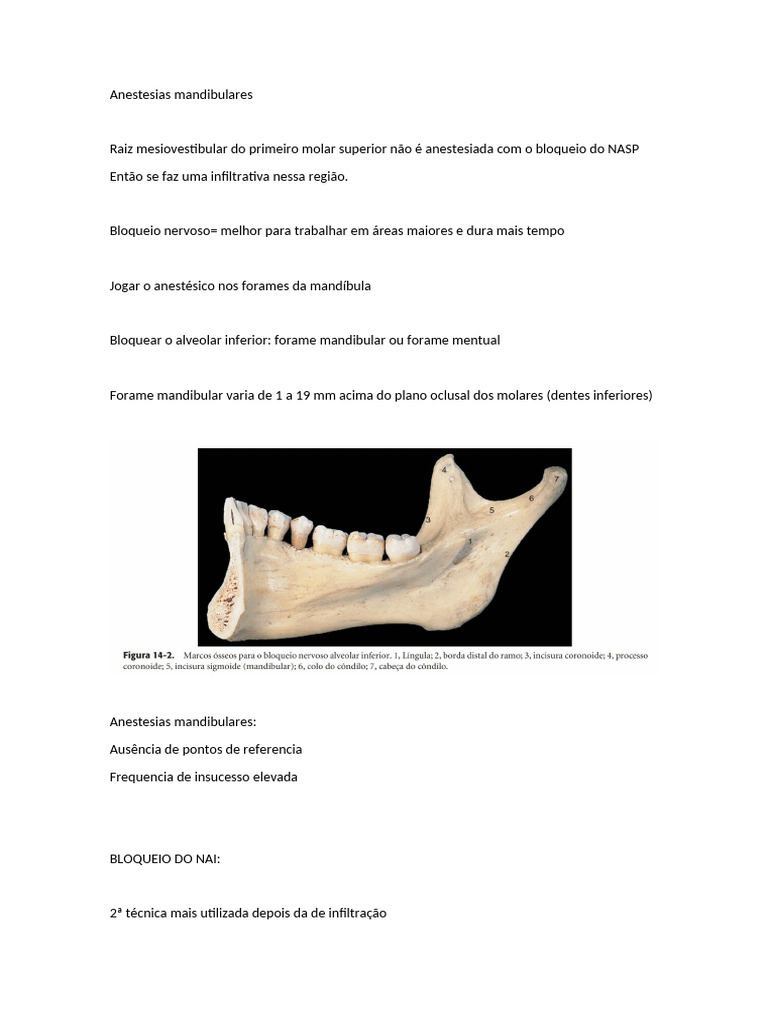 Técnicas de Anestesia Mandibular | PDF | Anatomia humana | Boca