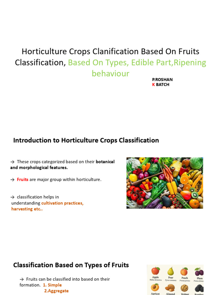 Horticulture Fruit Classification Guide | PDF