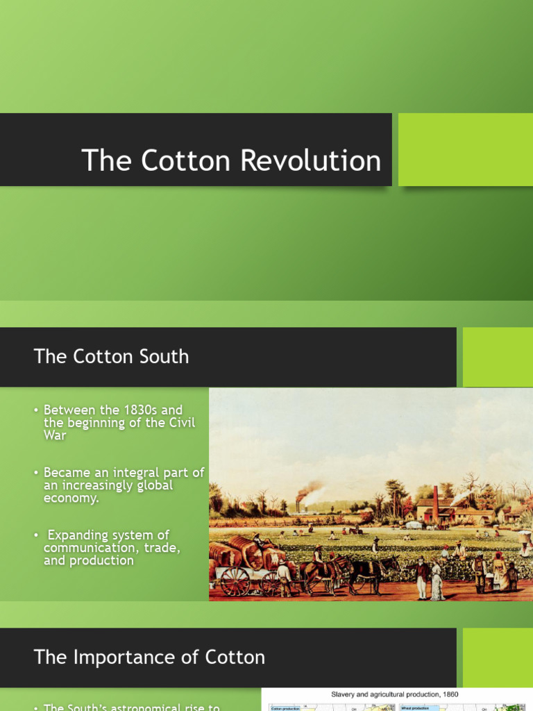 The Impact of Cotton on the South | PDF | Slavery | Slavery In The ...
