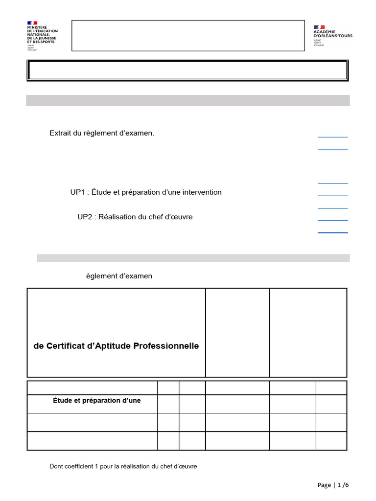 CAP Peintre Applicateur : Épreuves et Compétences | PDF