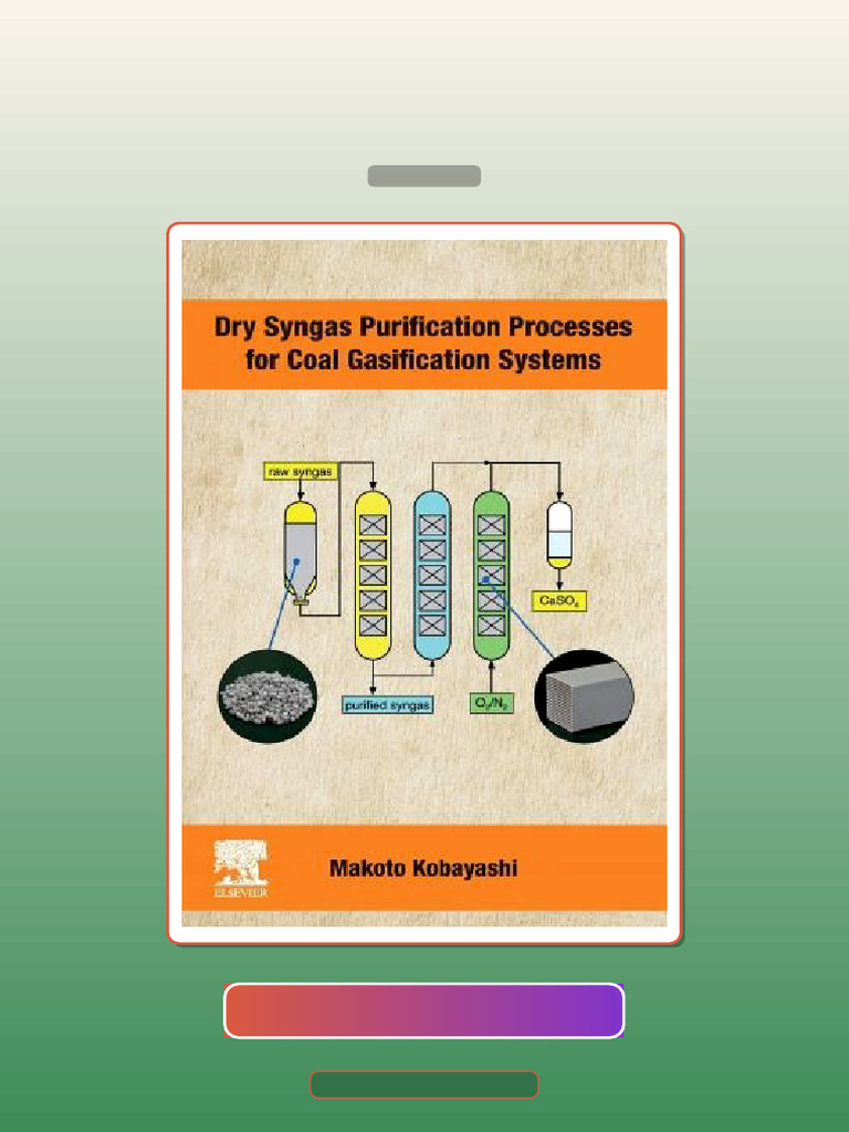 Dry Syngas Purification Processes for Coal Gasification Systems 1st ...