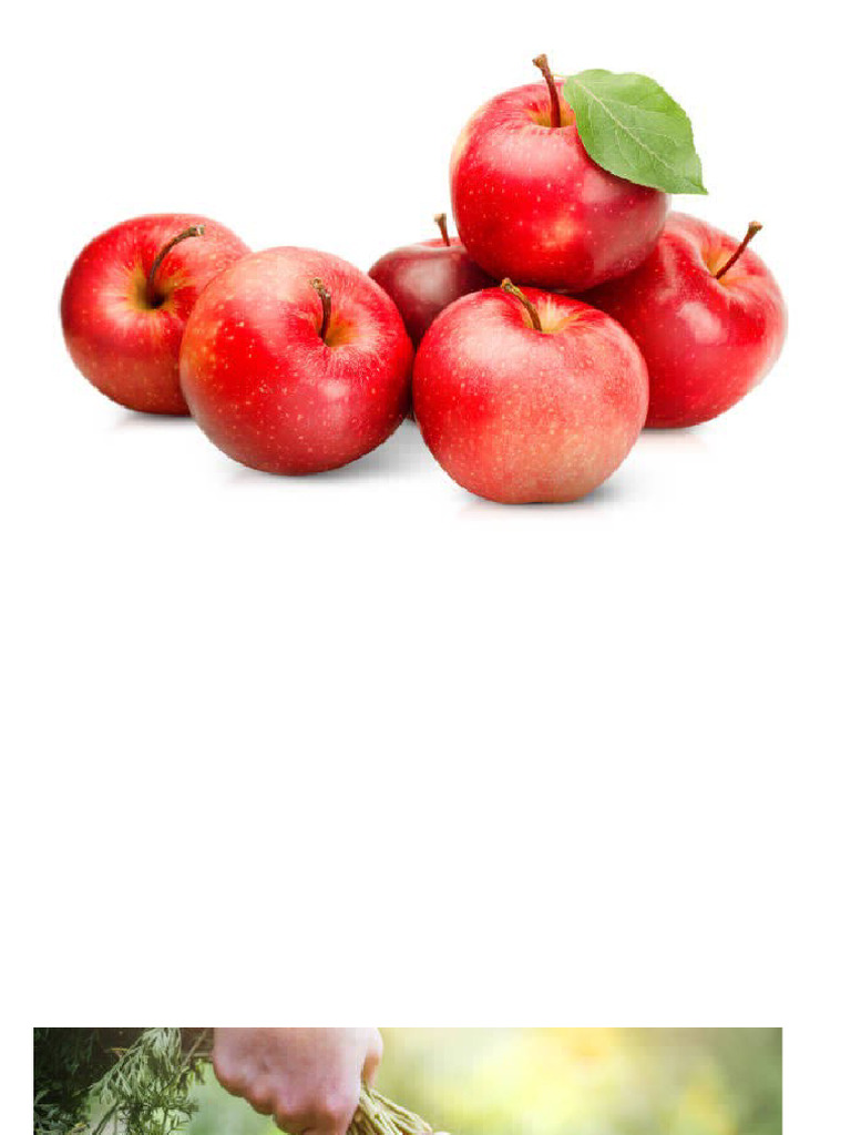 Easy Snack Recipes for Kids | PDF