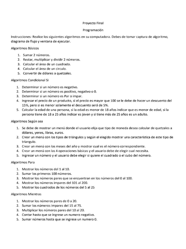 Proyecto Final Programación | PDF