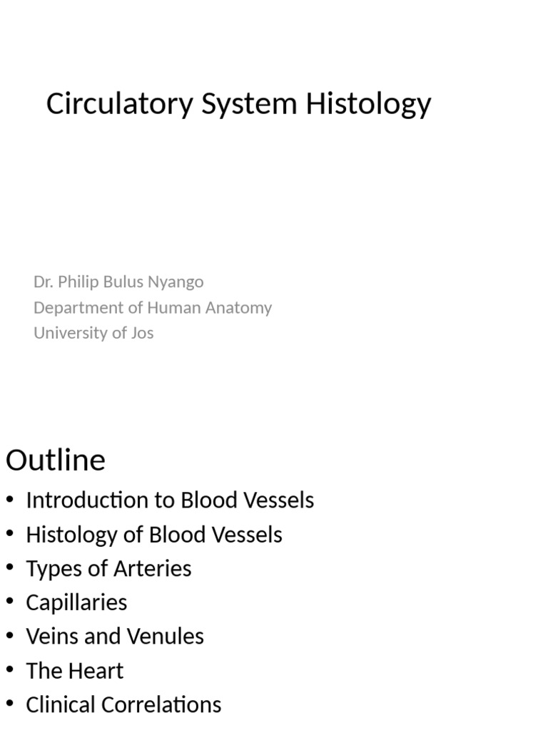 Circulatory System Histology Redrafted | PDF | Artery | Vein