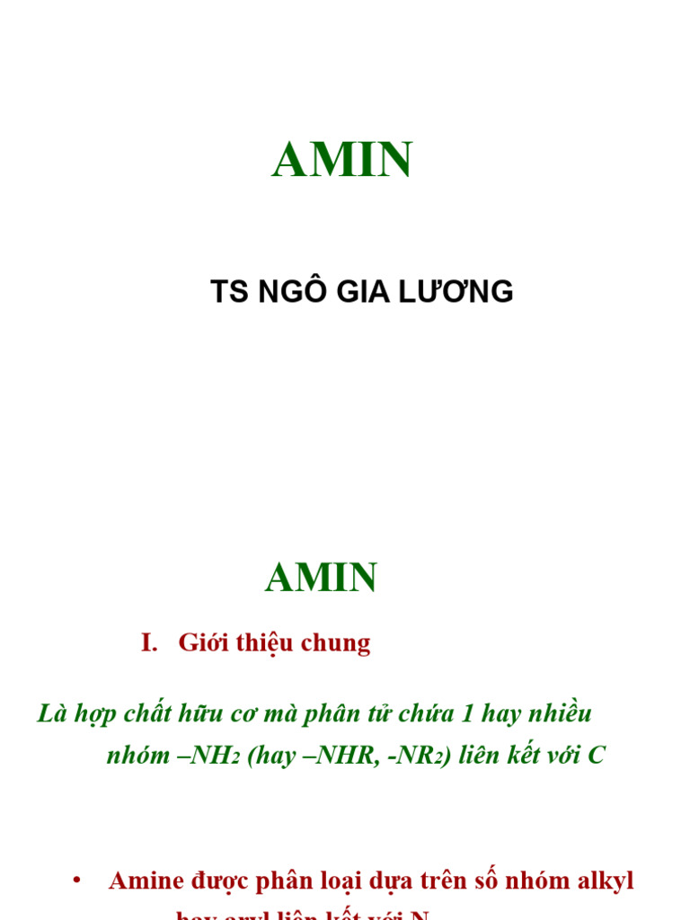 Amin | PDF