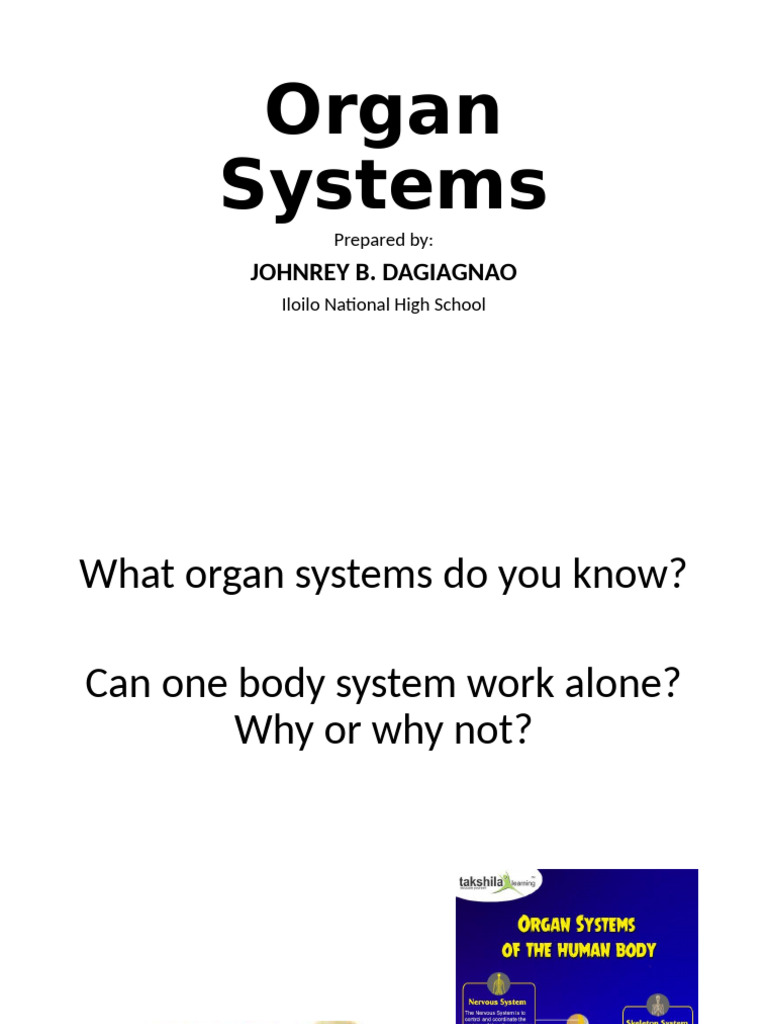 Human Organ Systems | PDF