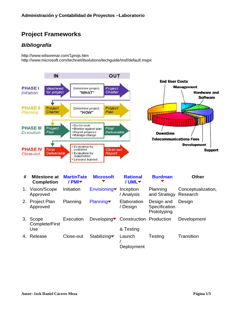 Resumen MSF Project | PDF