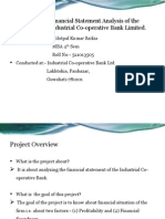 Project Report Financial Statement